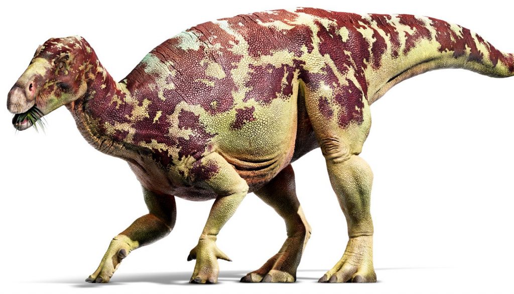 iguanodon-dinozor